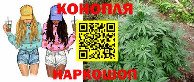 каннабис Будённовск