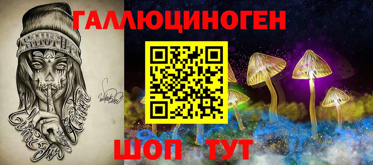 Галлюциногенные грибы прущие грибы  Вход с VPN  где найти   Чайковский 